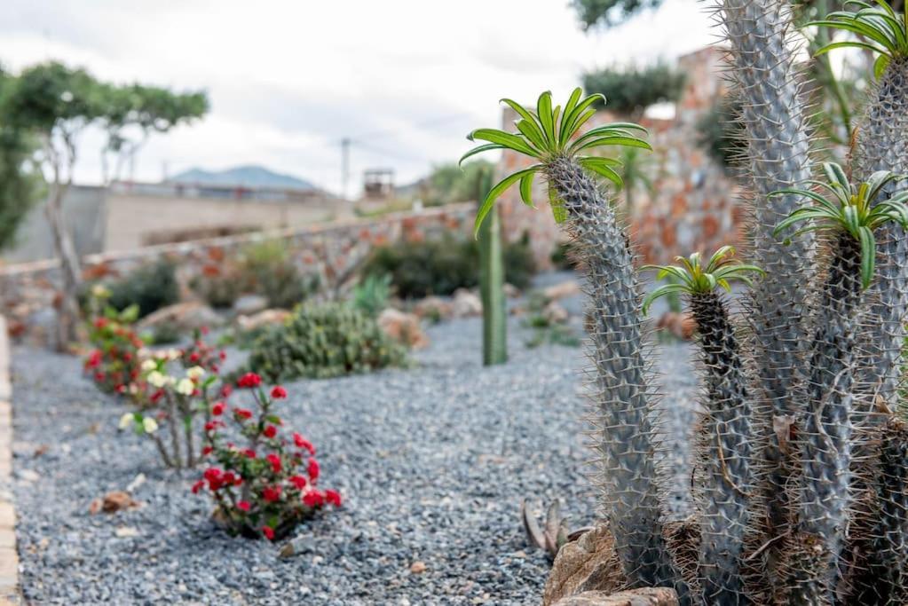 Agro Nostro-Agave With Superb View Vila Agios Nikolaos Exterior foto
